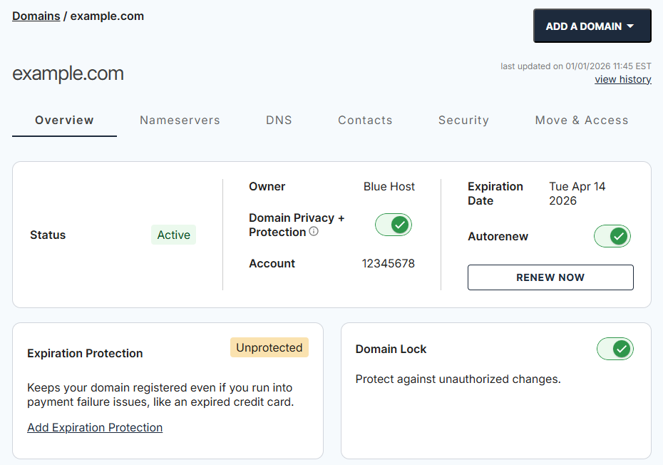 Bluehost domain management interface with overview nameservers DNS contacts security and transfer tabs