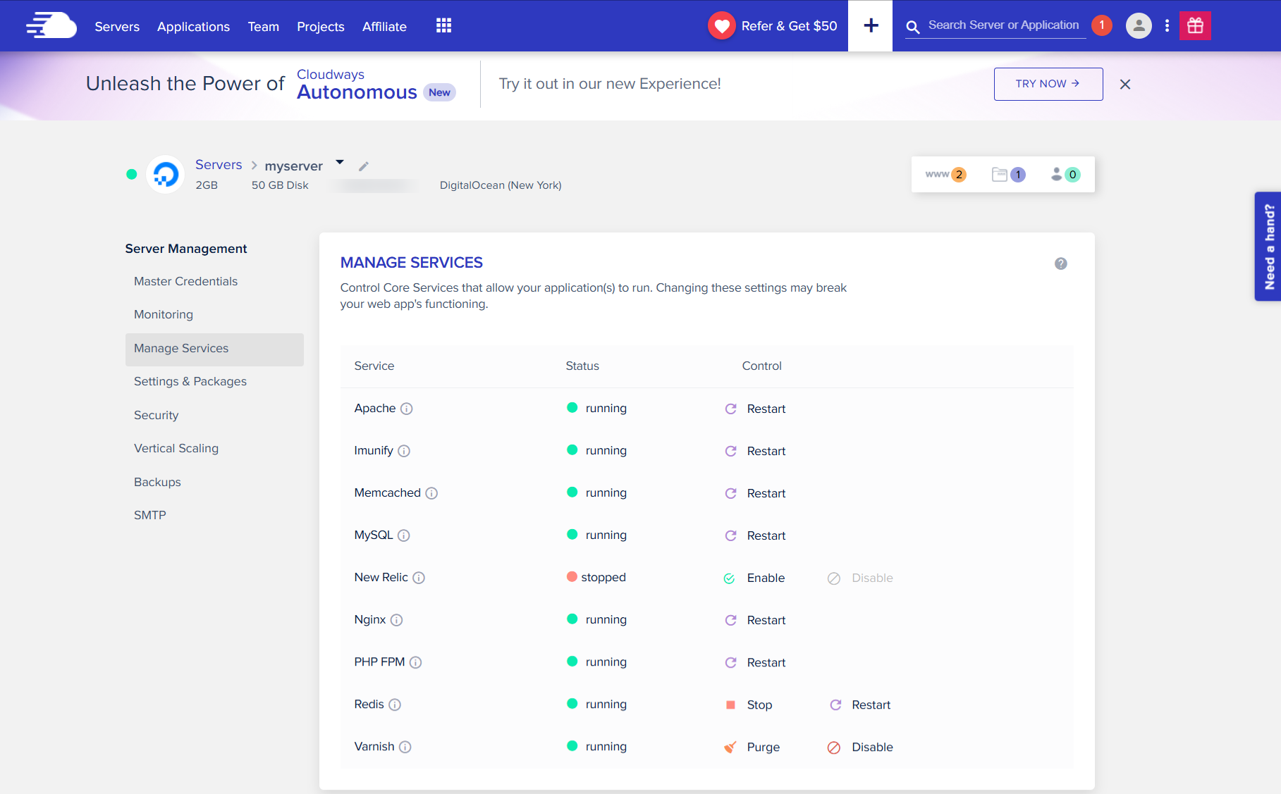 screenshot of Cloudways Hosting management panel