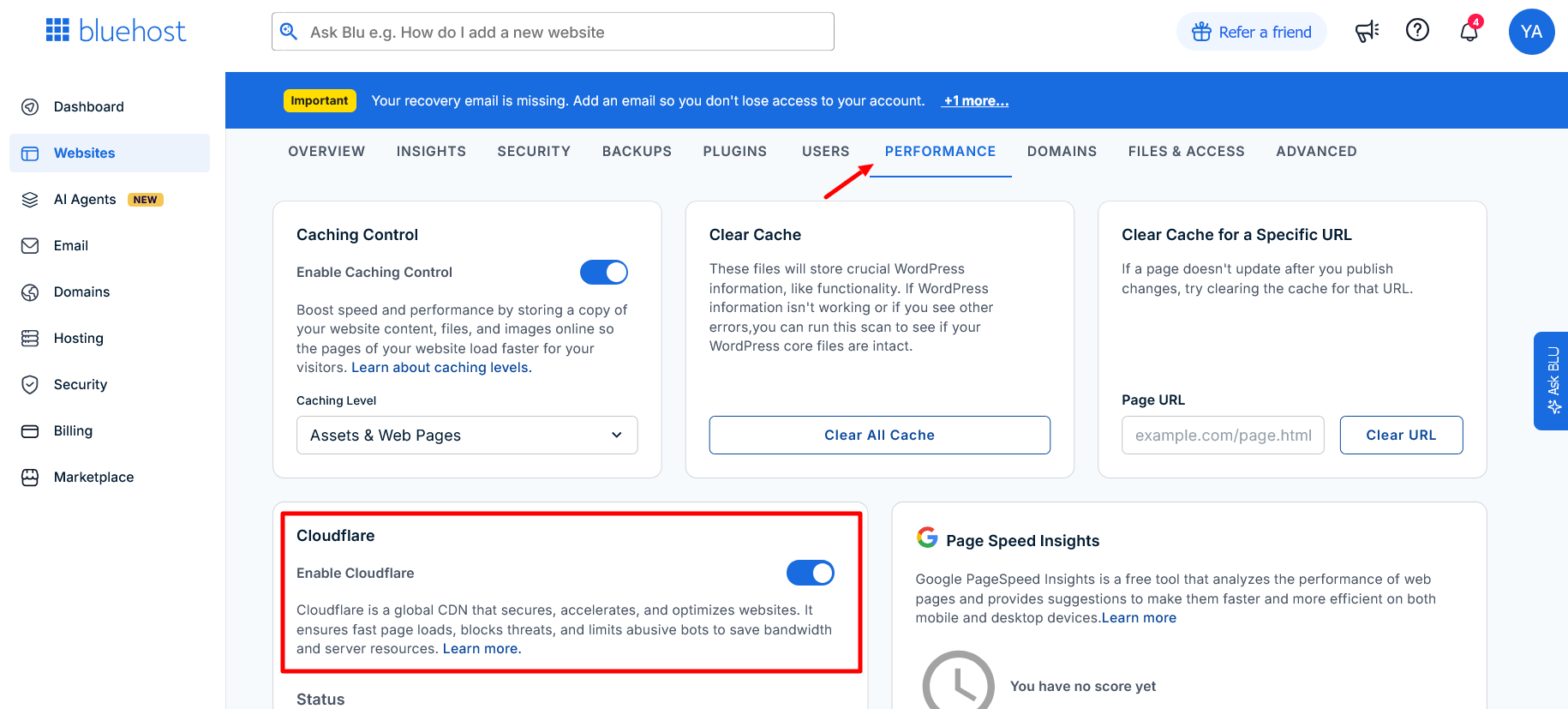screenshot of Bluehost Performance tab