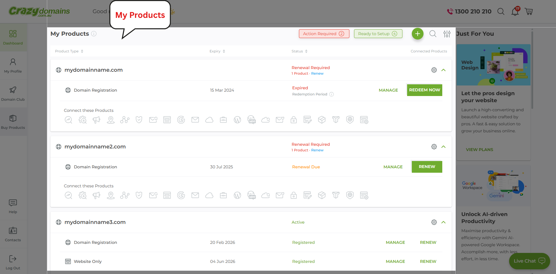 Crazy Domains Account Manager dashboard showing My Products panel and product statuses