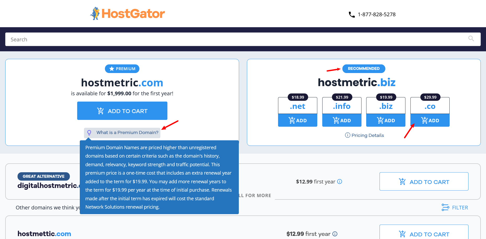 Всплывающая подсказка HostGator о premium domain, объясняющая ценообразование premium domains