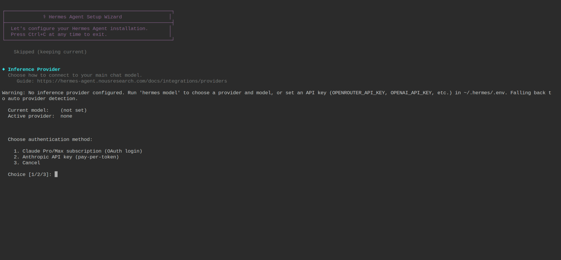 screenshot Interface Provider