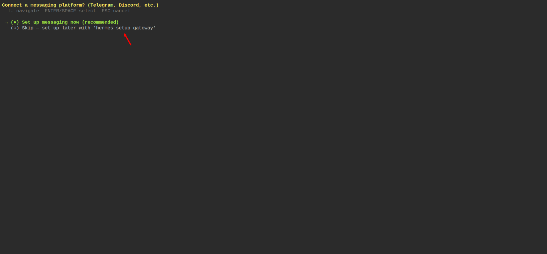 screenshot Terminal