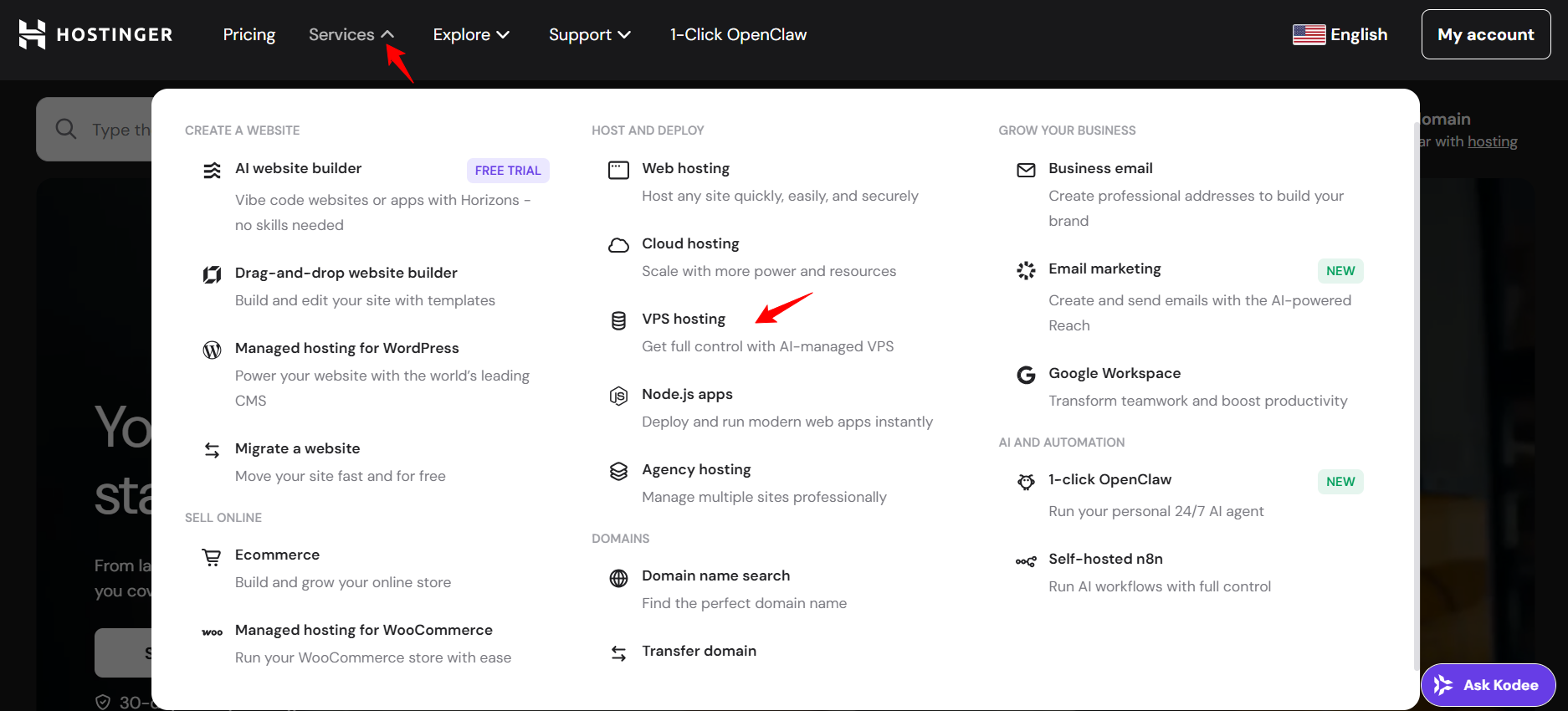 screenshot of Hostinger Services drop down menu