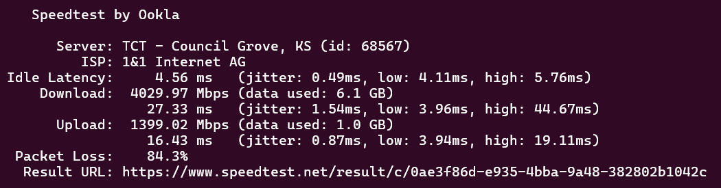 screenshot of VPS Linux L plan Network Speed test