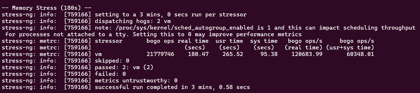 screenshot of VPS Linux XL plan Stress test