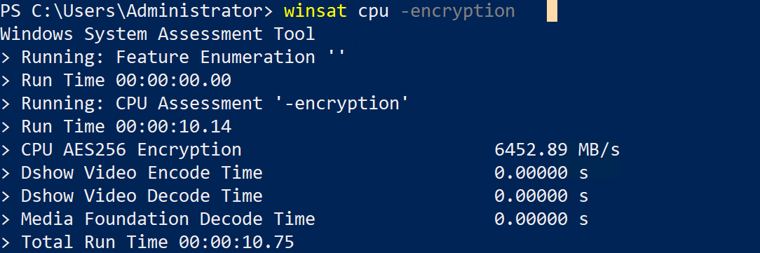 screenshot of Windows Server Performance (CPU test)