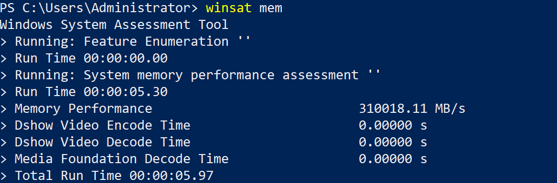 screenshot of Windows Server Performance (Memory test)
