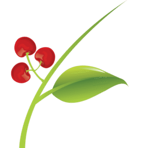 HIOX Logo