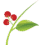 HIOX Logo