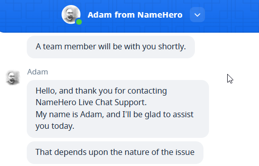 screenshot of Namehero live chat conversation