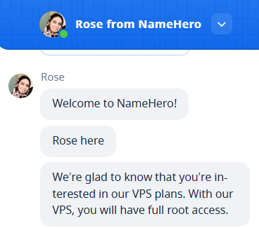 screenshot of the live chat conversation