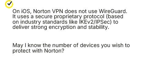 screenshot of Norton live chat conversation
