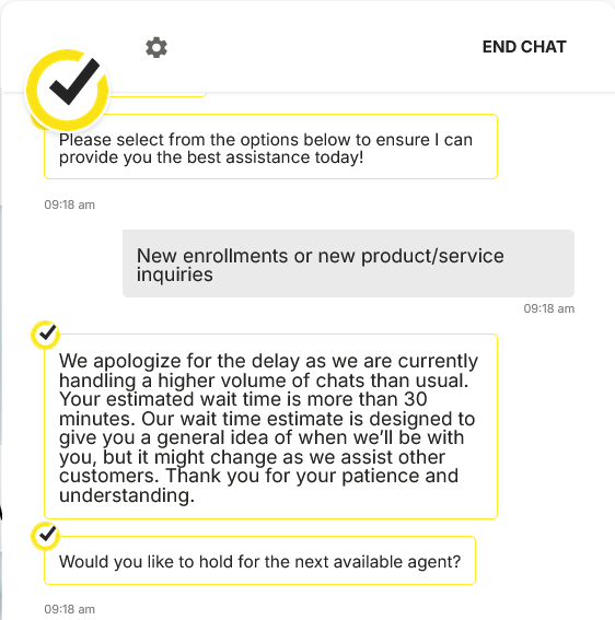 screenshot of Norton live chat conversation