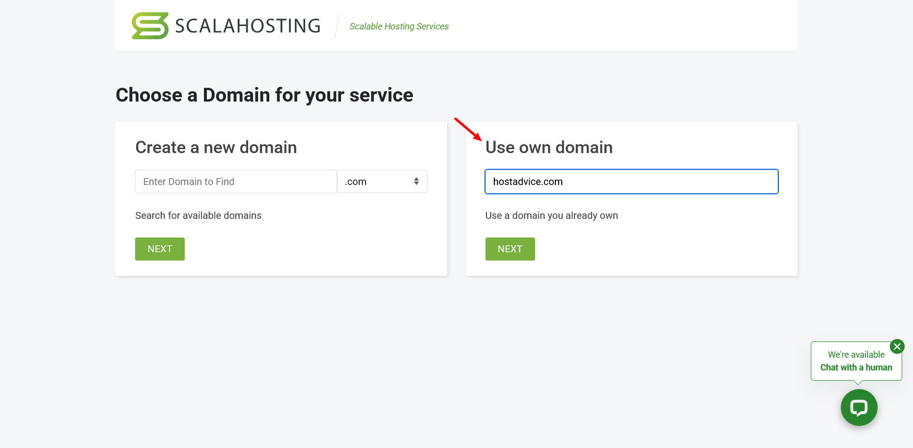 screenshot of ScalaHosting Domain menu