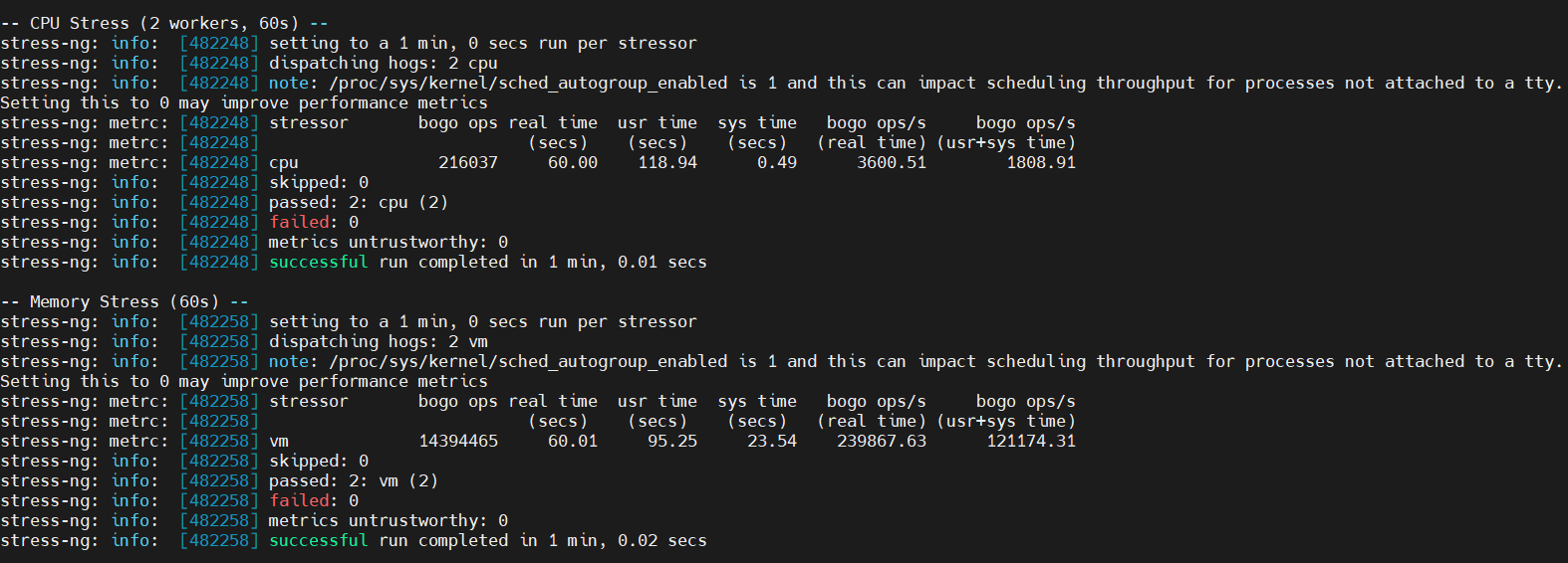 screenshot of Linux Business VPS Hosting plan Stress Speed test results