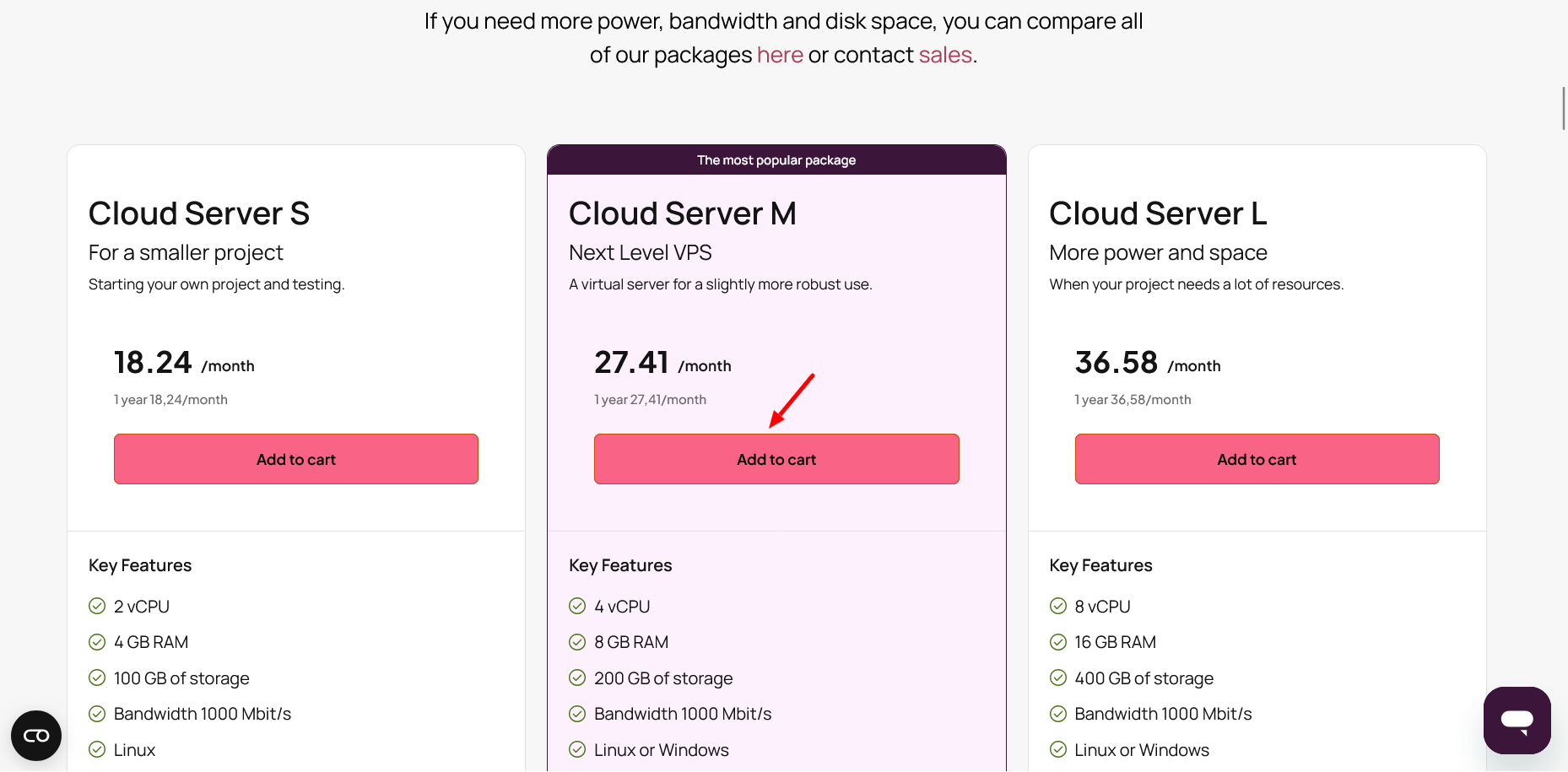 screenshot of Zoner Hosting plans