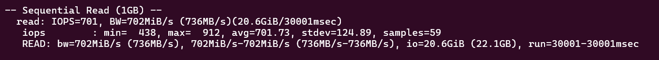 screenshot of Disk I/O Sequential-read test result