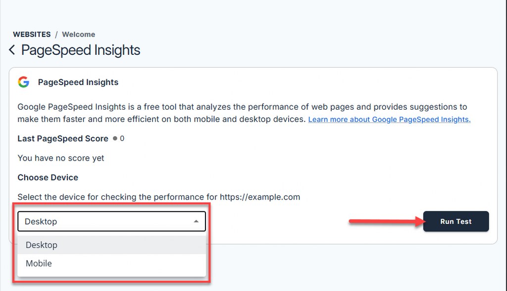 Bluehost PageSpeed Insights Tool Interface for Running Desktop and Mobile Website Performance Tests