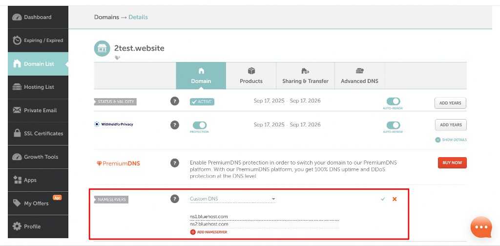 Custom DNS Nameserver Setup Panel