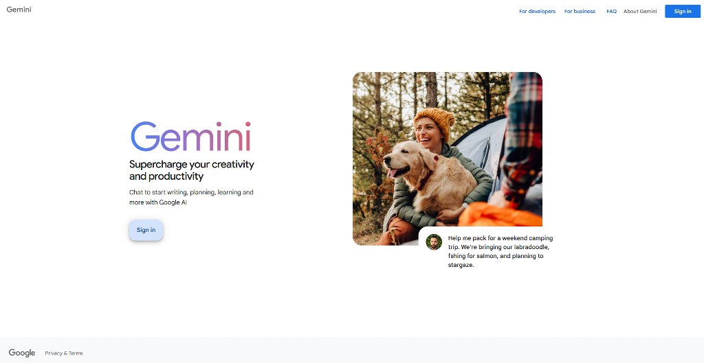 Gemini's website homepage.