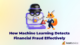 How Machine Learning Detects Financial Fraud