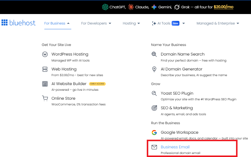 Bluehost For Business menu showing Business Email option