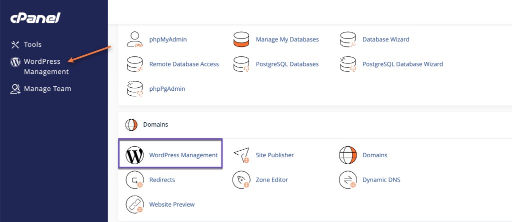 cPanel WordPress Management Interface