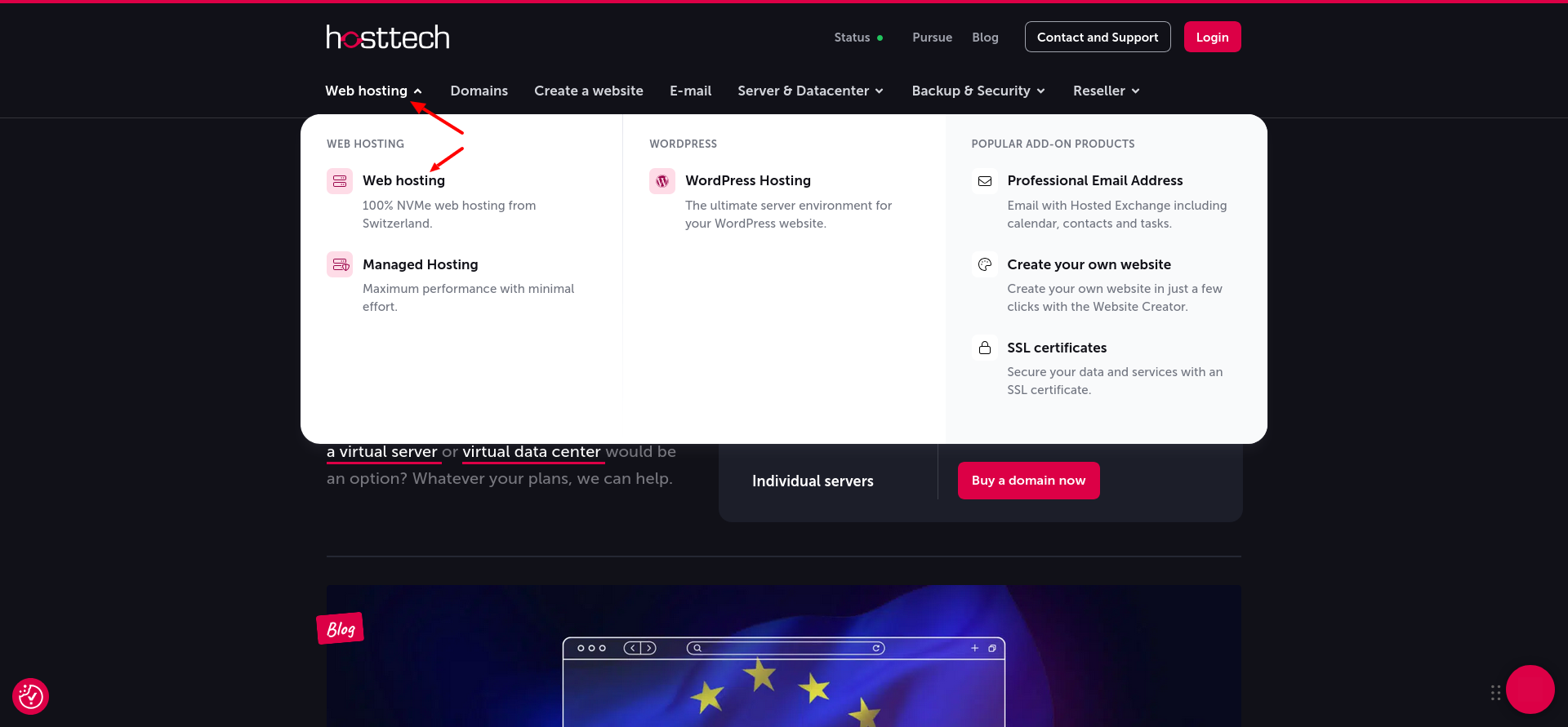 screenshot of Hosttech Web Hosting dropdown list
