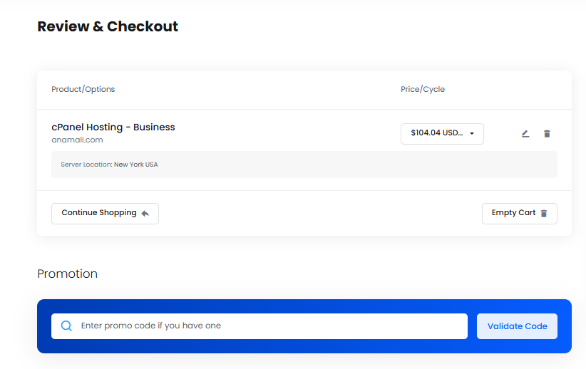 BigCloudy review and checkout page