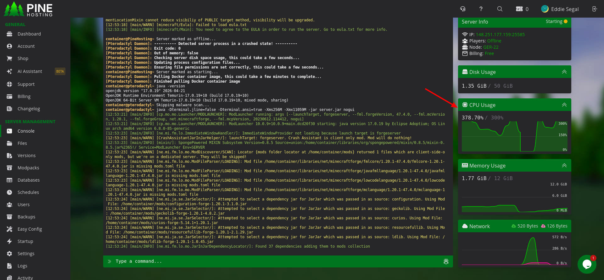 Pine Hosting resource panel showing 12GB All the Mods 9 server running under heavy modded Minecraft workload