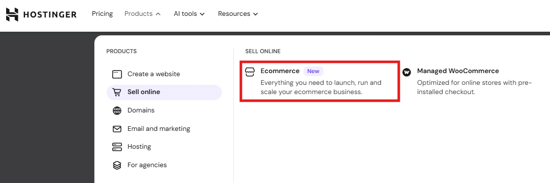 Hostinger Products Sell Online ecommerce navigation