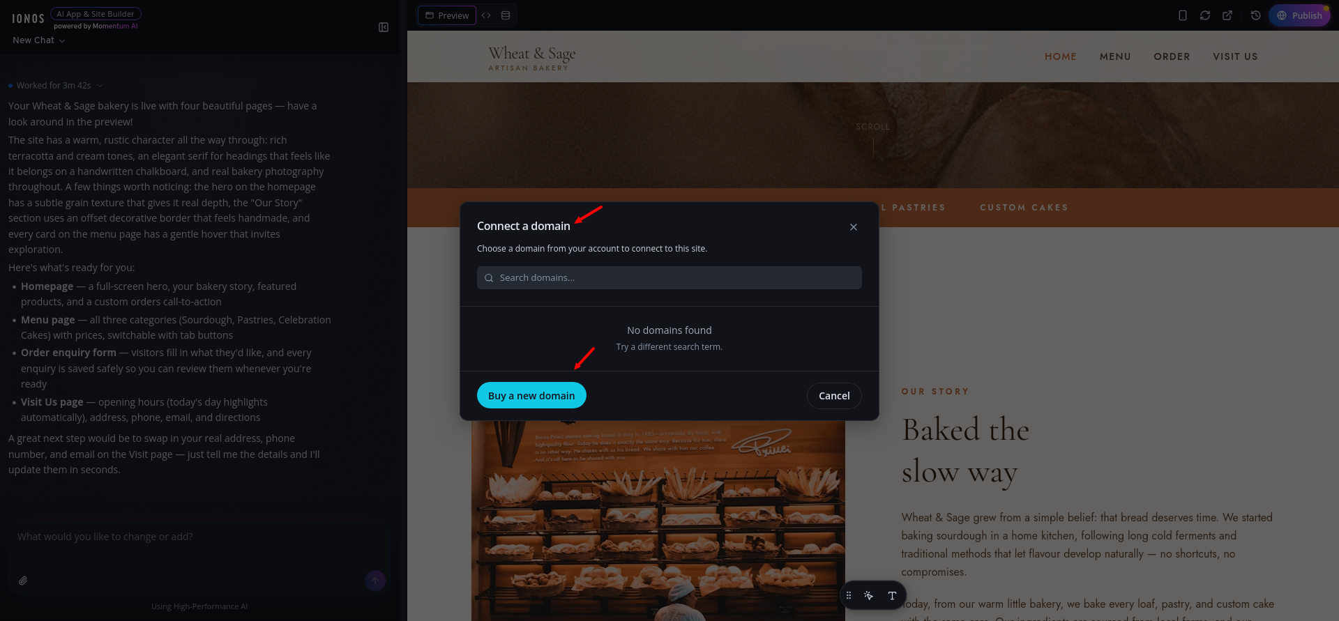 screenshot of the Domain menu