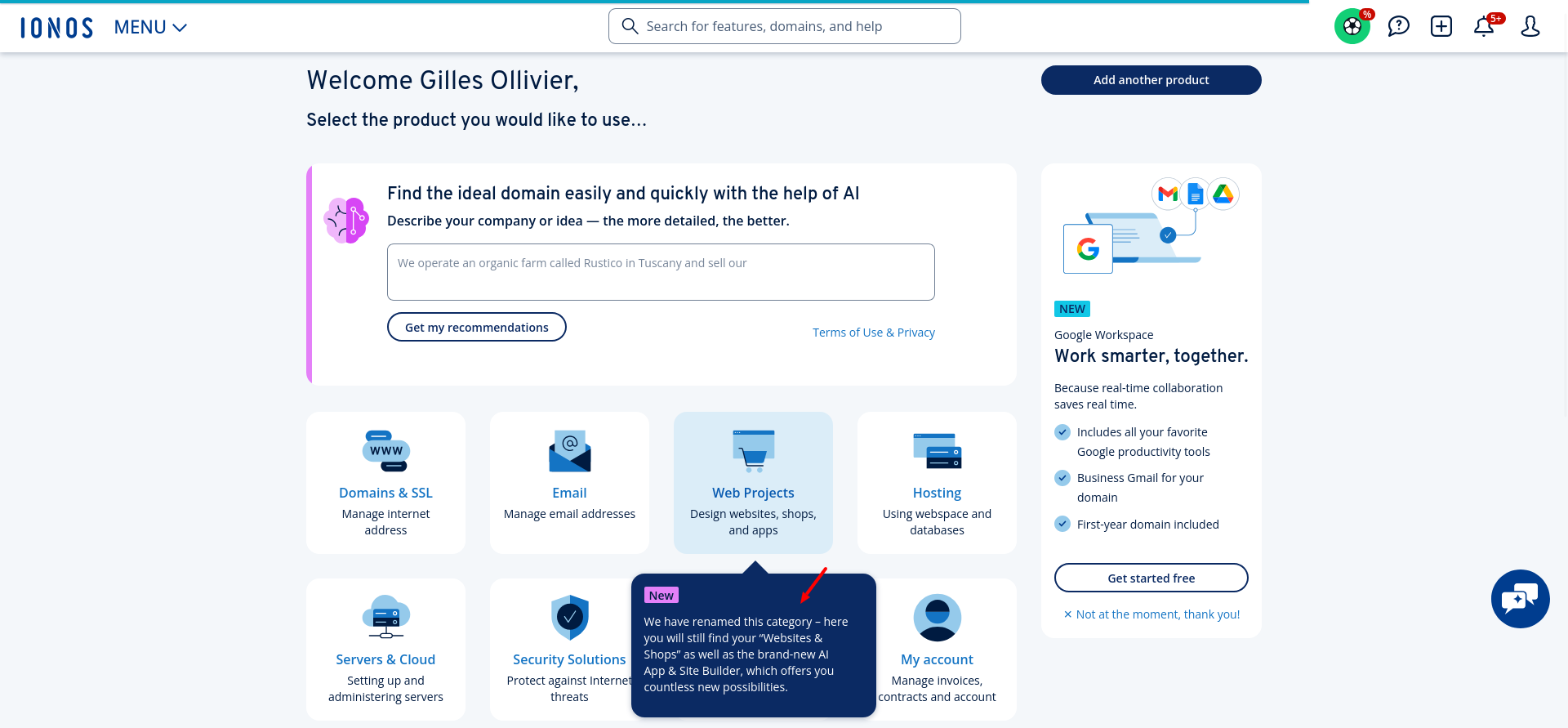 screenshot of the 'Web Projects' tab description