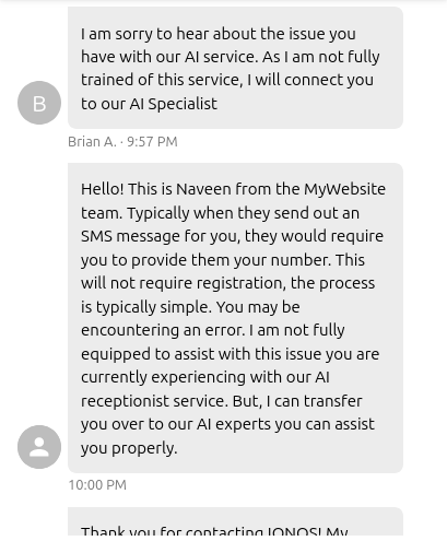 IONOS live chat routing for AI Receptionist support
