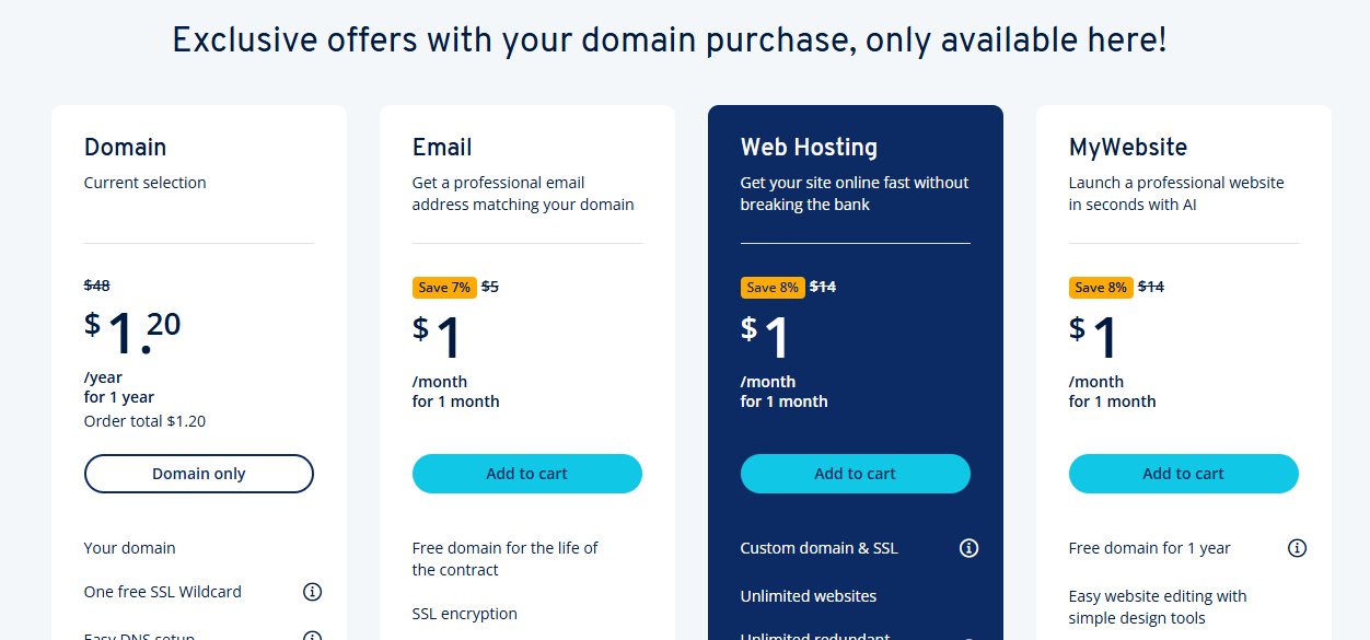 IONOS domain hosting option selection