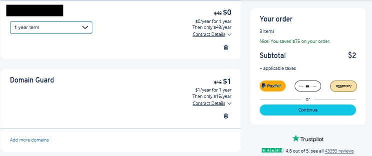 IONOS domain order summary and registration period