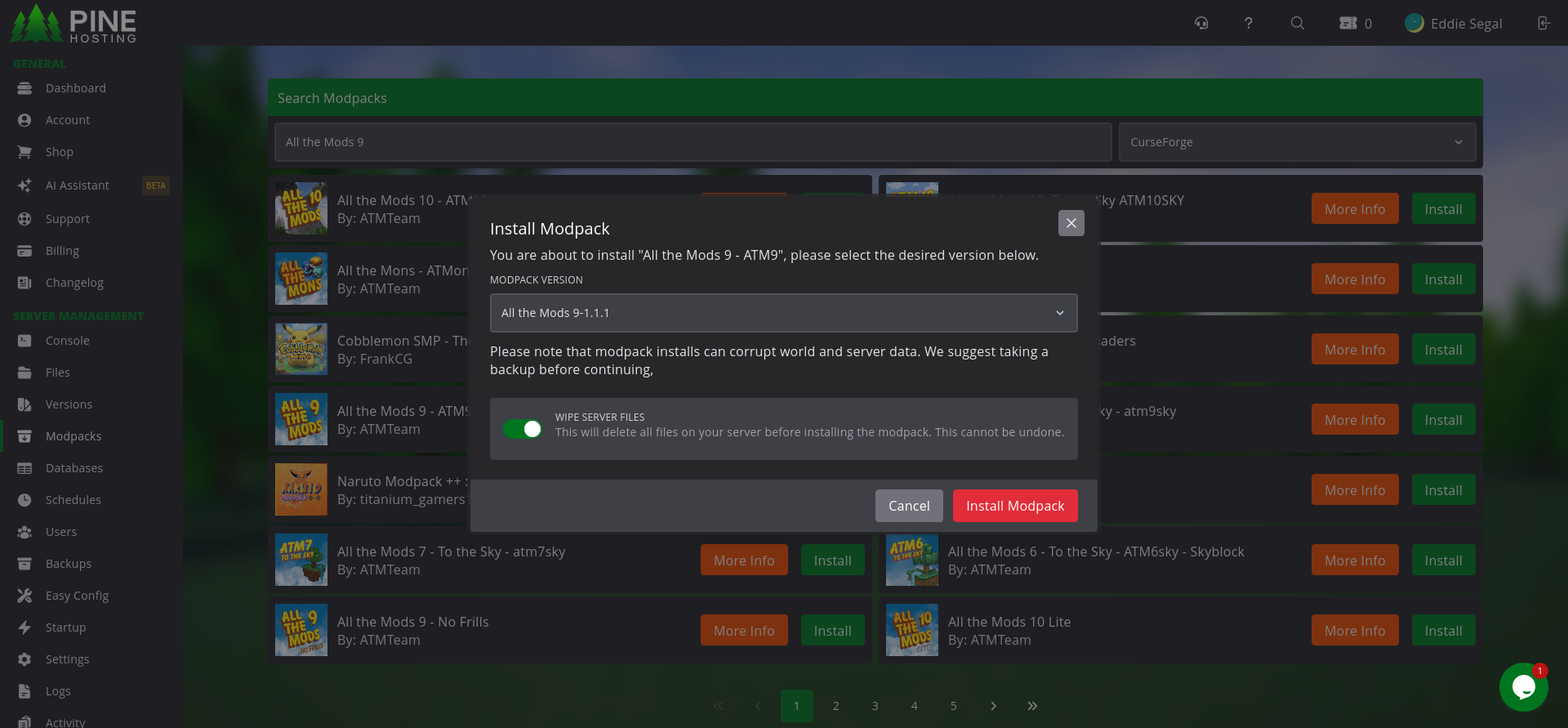 Pine Hosting modpack installer showing All the Mods 9 installed