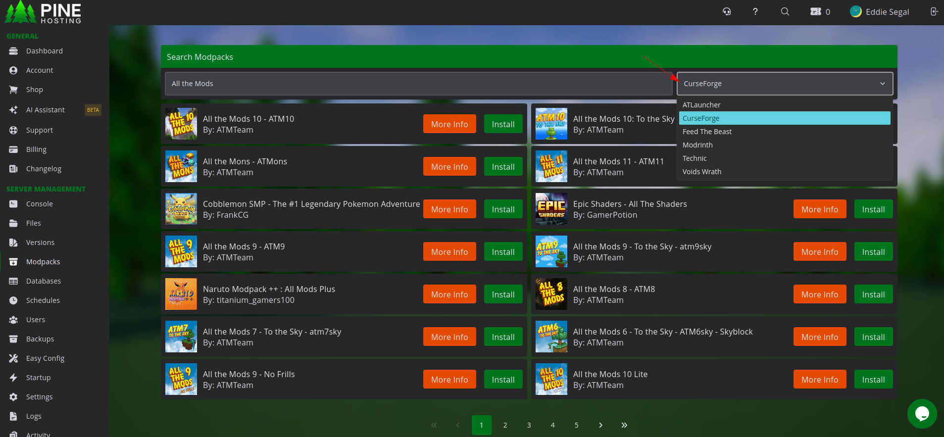 Pine Hosting Modpacks tab with CurseForge, Modrinth, ATLauncher, Feed The Beast, Technic, and Voids Wrath