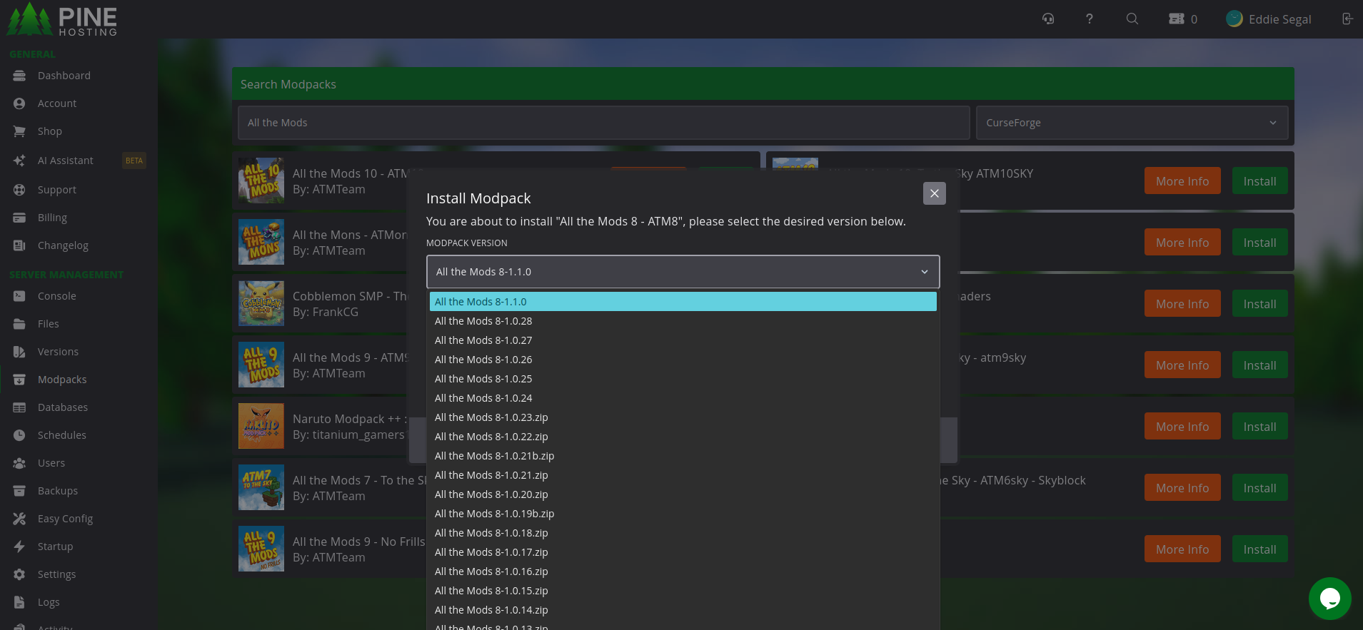 Pine Hosting Modpacks tab showing All the Mods search results and version dropdowns