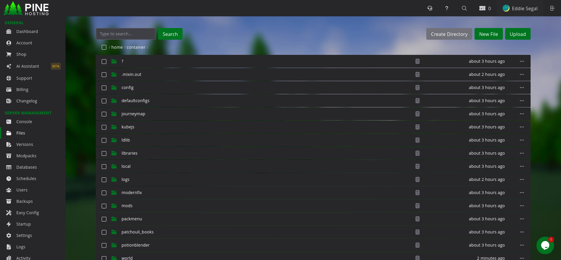 Pine Hosting file manager showing ATM9 modded Minecraft server folders