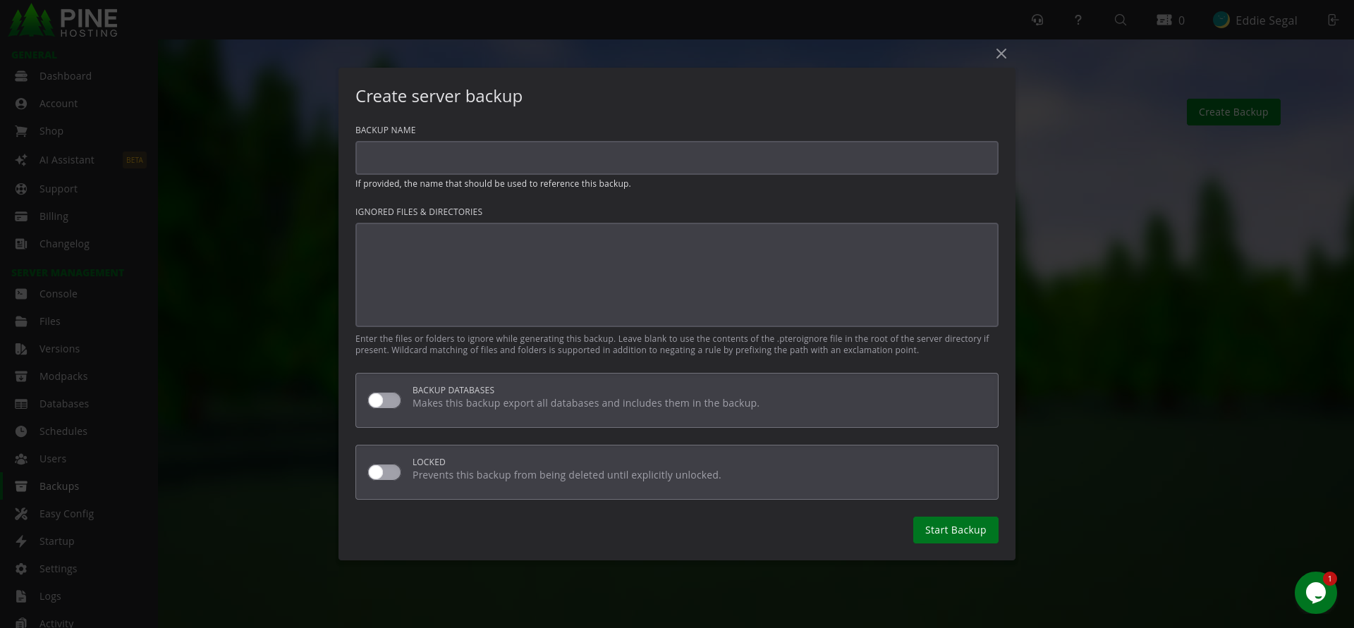 Pine Hosting backups tab for a modded Minecraft server
