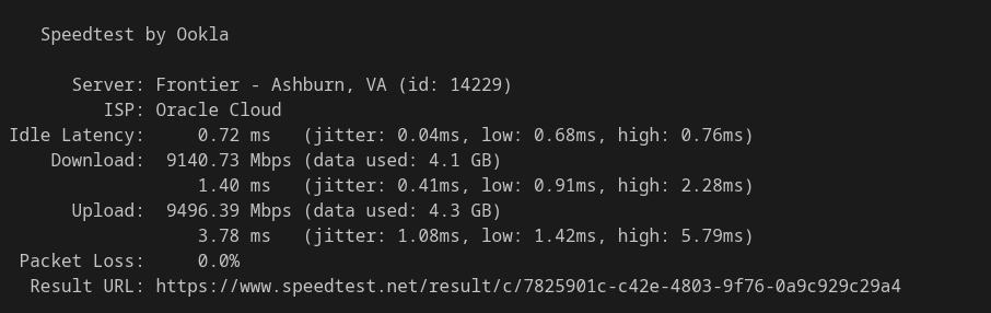 Network Solutions VPS Ookla network speed test results