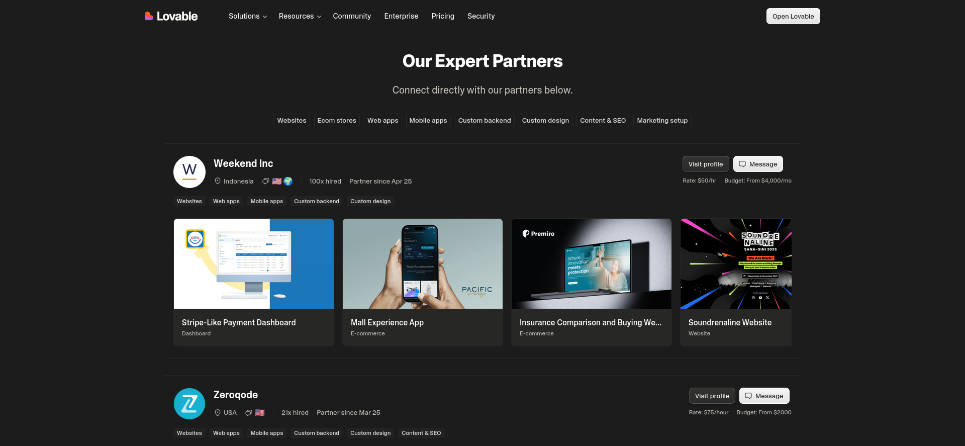screenshot of Lovable Expert Partners