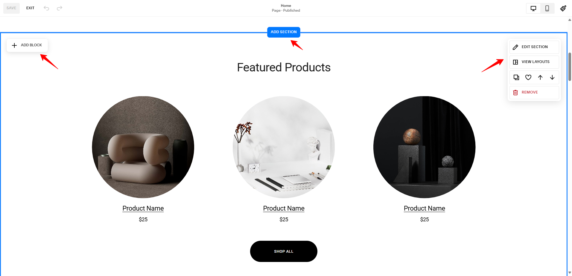 screenshot of Squarespace editor