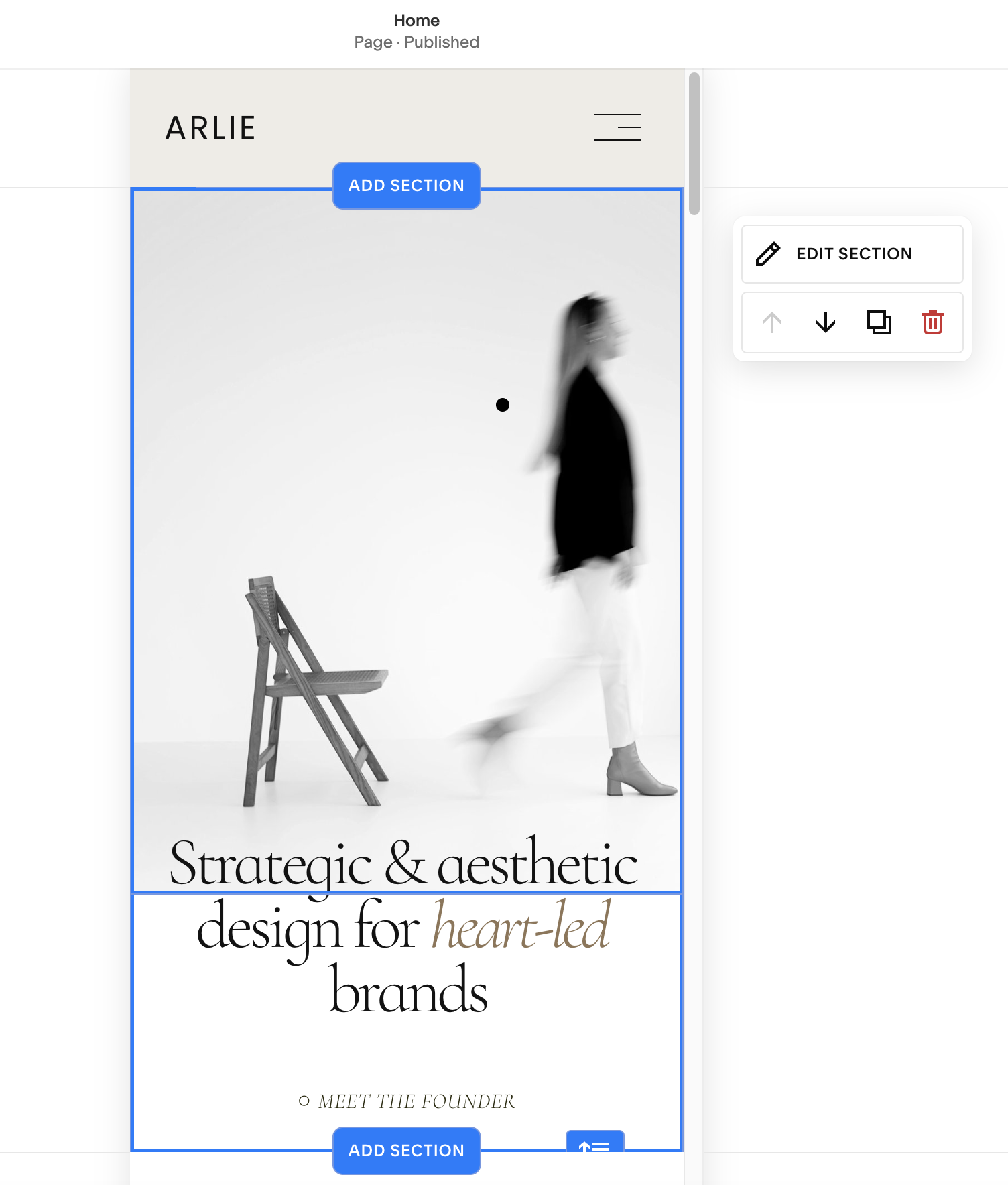screenshot of the Section editor