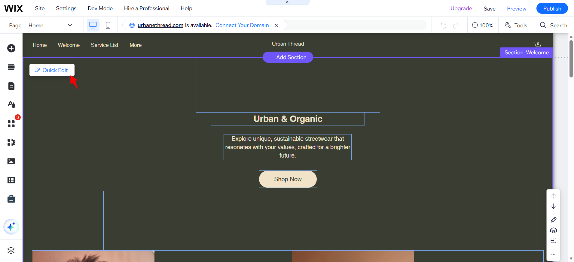screenshot of Wix Text editor