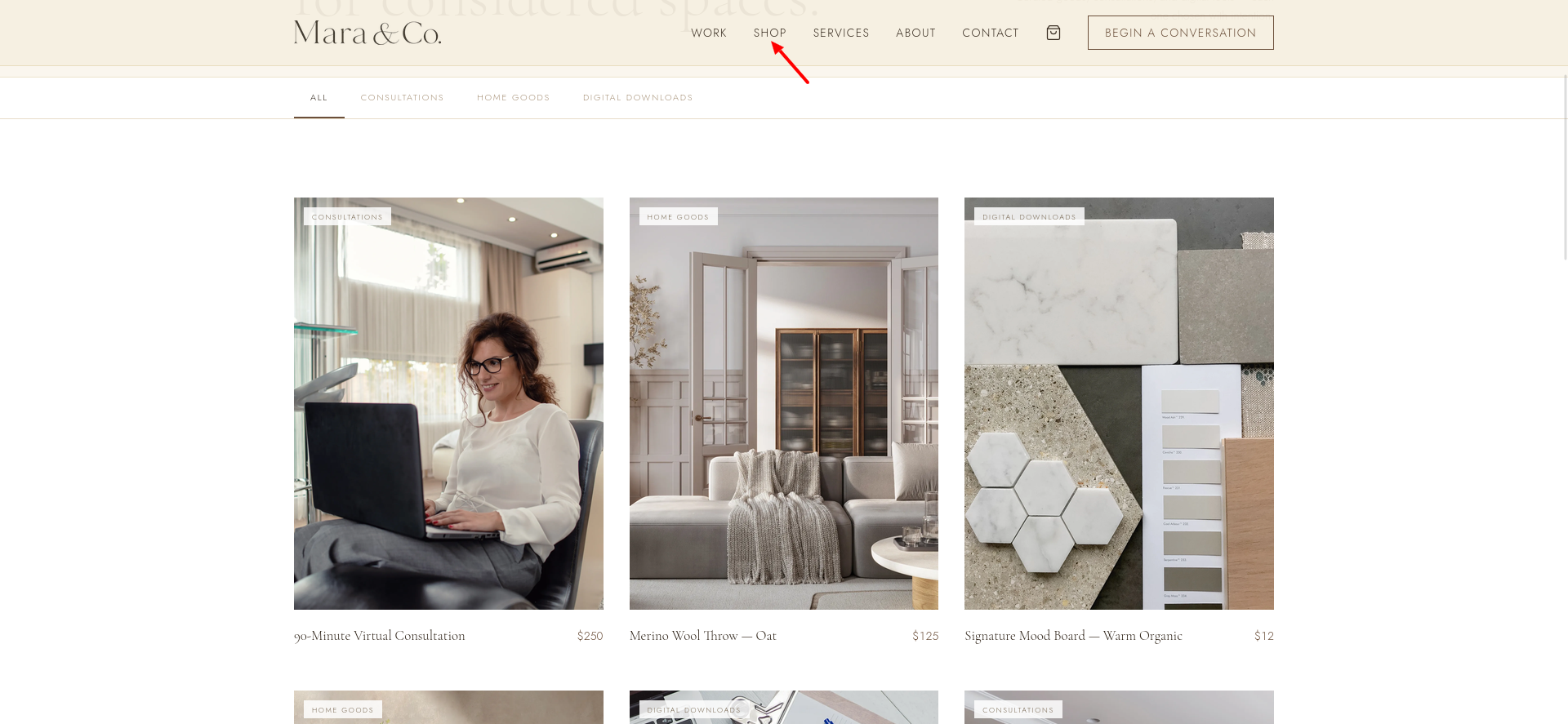 screenshot of the Shop button on created website