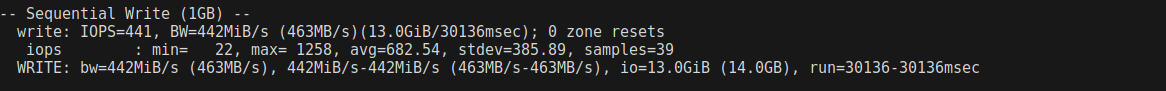 screenshot of Sequential Write Disk I/O test results