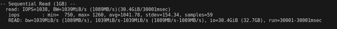 screenshot of Sequential Read Disk I/O test results